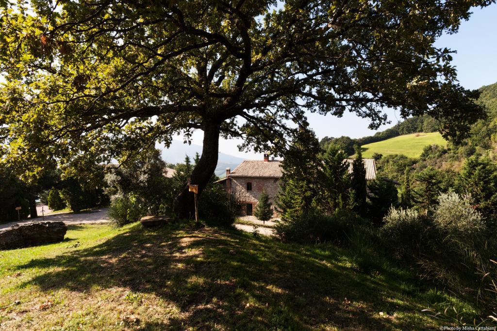 Agriturismo Paradiso41 Assisi Exterior foto